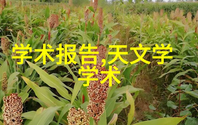 学术报告龙门山断裂带南段地震活动性研究及展望